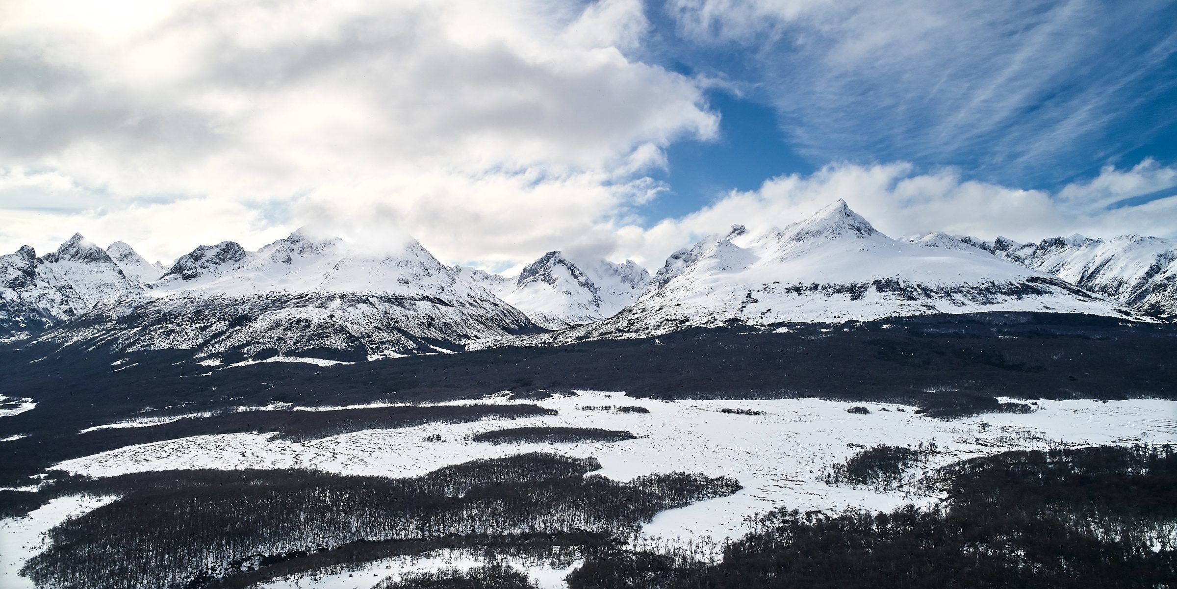 Foto de Marcelo Ringo 11
