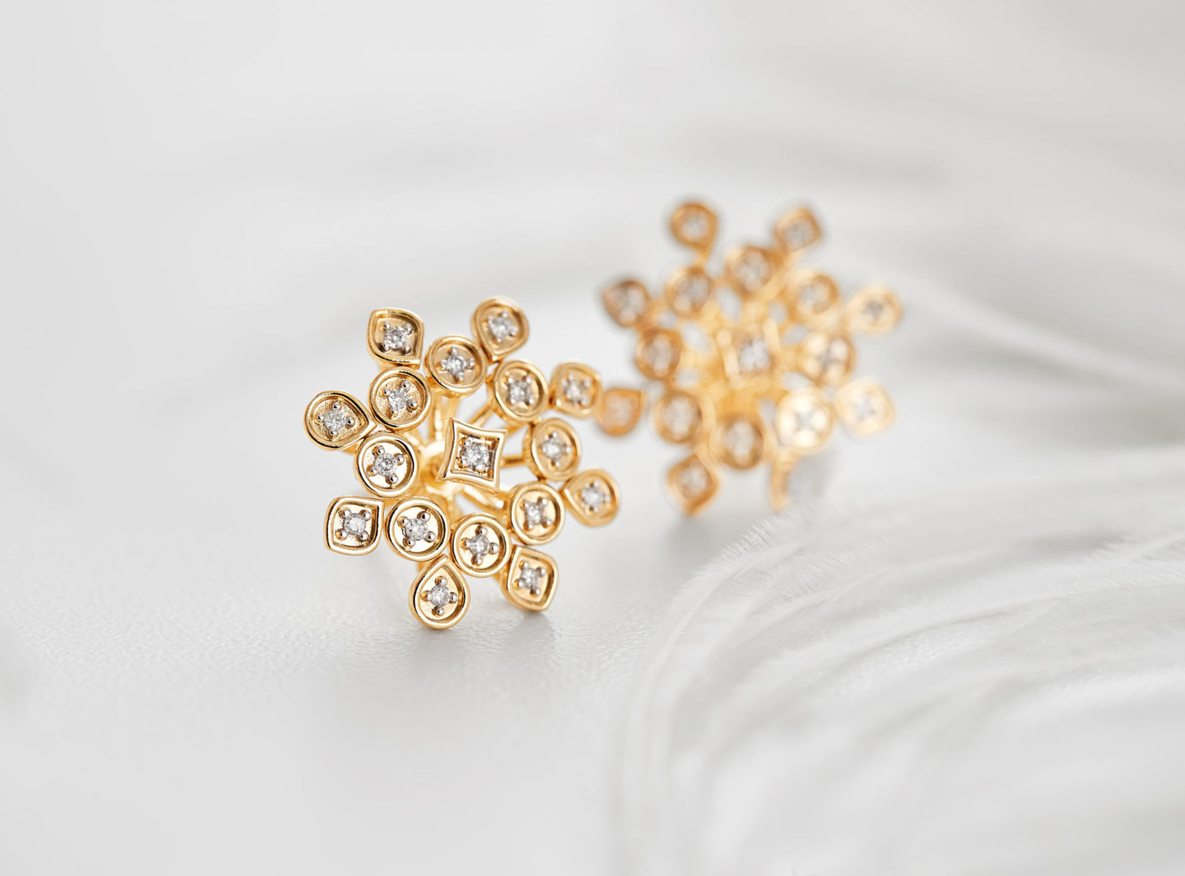 Foto de Marcelo Ringo 16