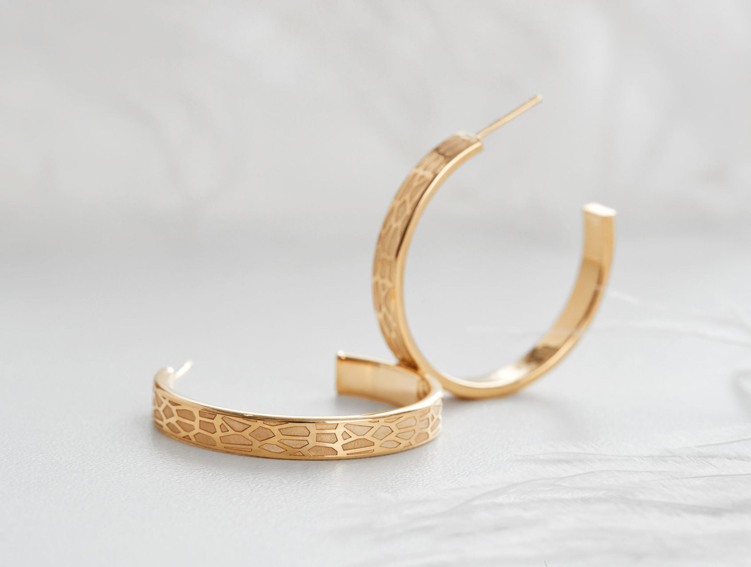 Foto de Marcelo Ringo 12